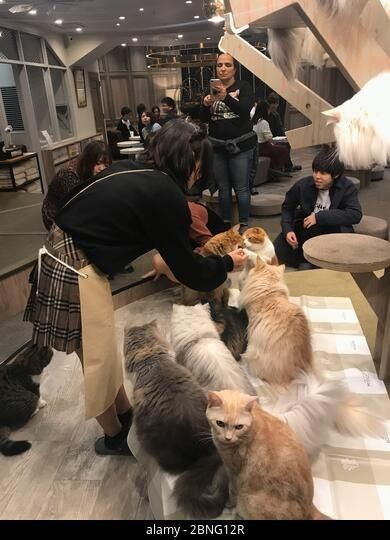 τελευταία εταιρεία περί Specific Customer Feedback (Anonymous Compilation)