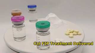 GS 441524 For Cat FIP ​​Treatment Door to Door
